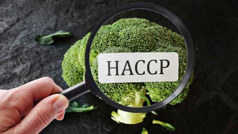 HACCP Livello 1 - ITALIANO ED INGLESE